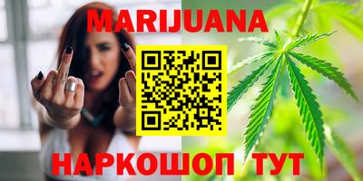мдпв Можга