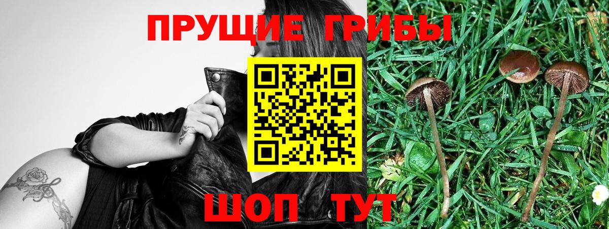 Галлюциногенные грибы мухоморы  Вход с VPN  Галлюциногенные грибы мицелий  Чебаркуль 