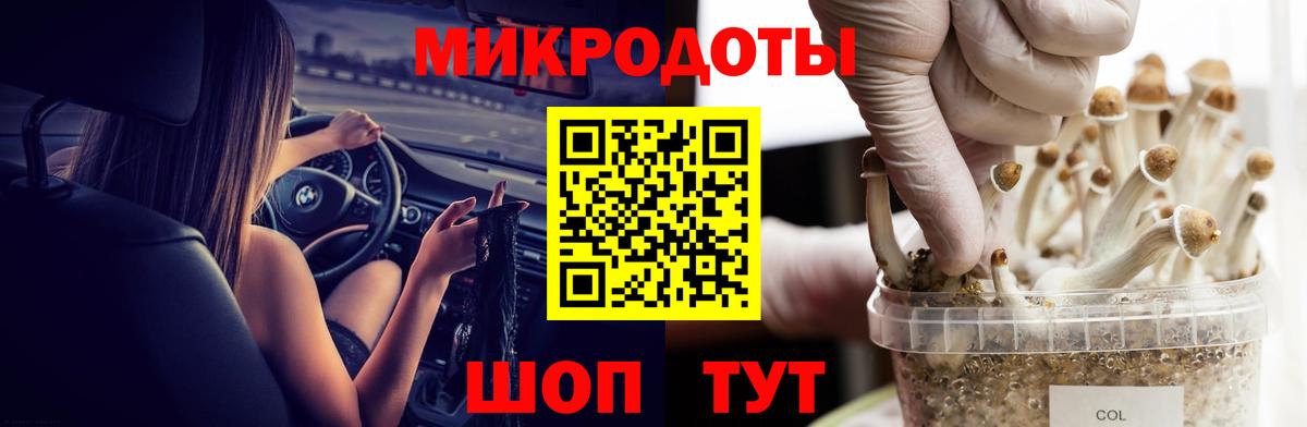 Псилоцибиновые грибы мицелий Чебаркуль